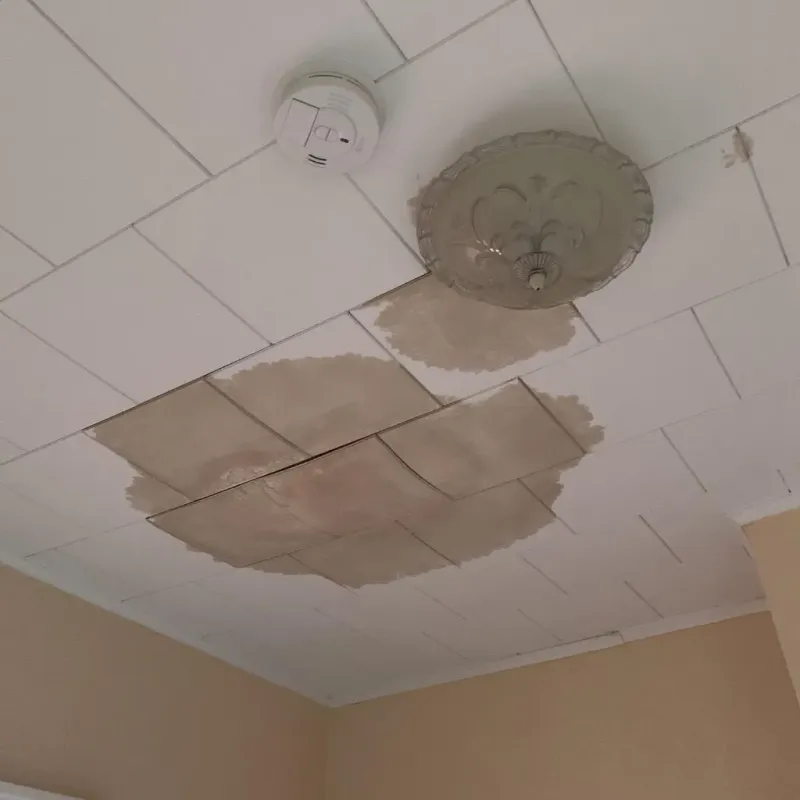Ceiling Water Damage Repair in Hartwell, GA